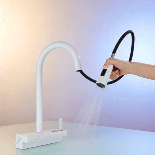 Elyseeaqua Pull Out Faucet with Single Bowl Sink Kitchen Waterfall Sprayer - Elyseeaqua