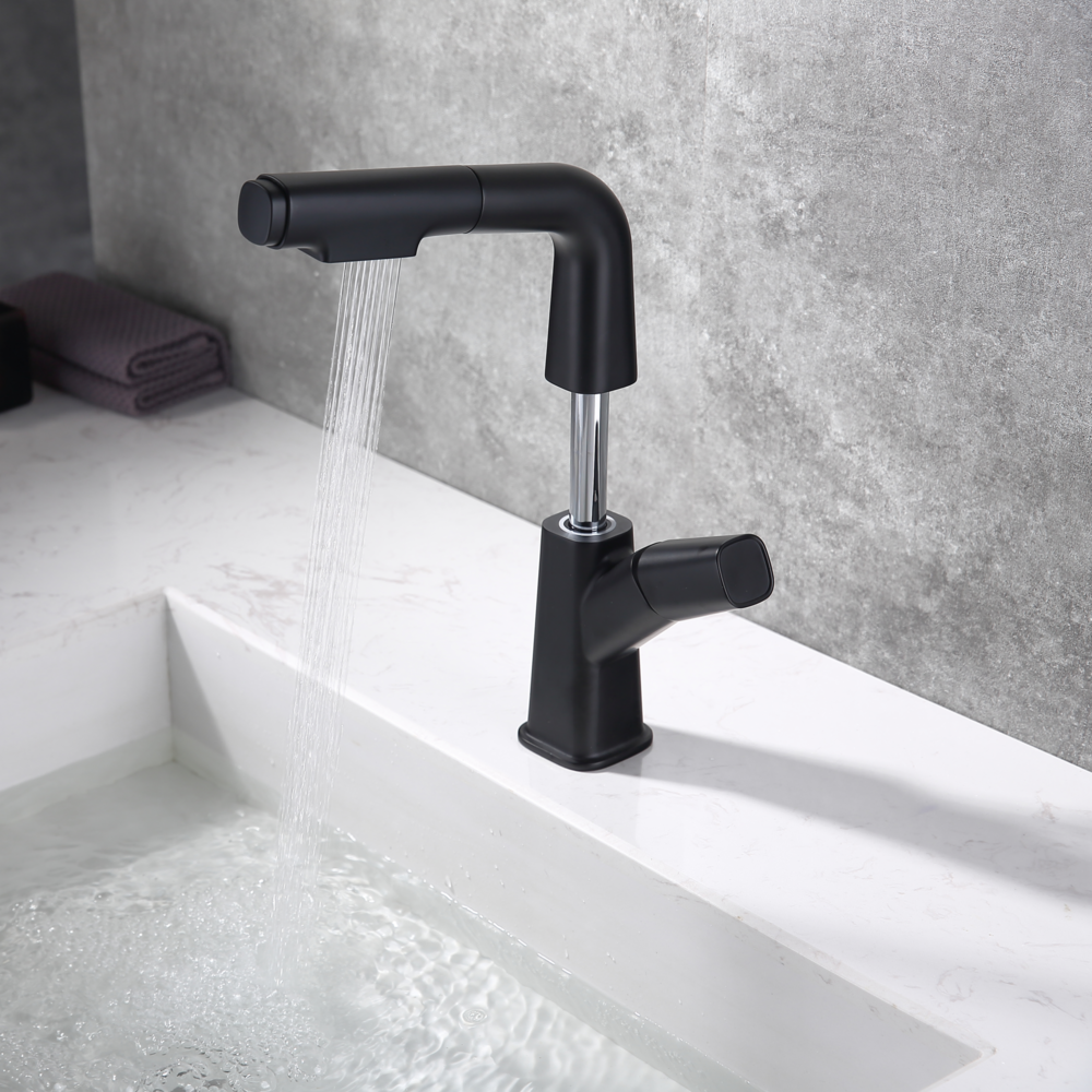 Elyseeaqua Pull-Out Lifting Basin Faucet