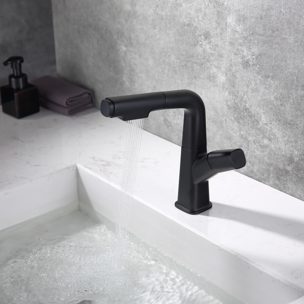 Elyseeaqua Pull-Out Lifting Basin Faucet