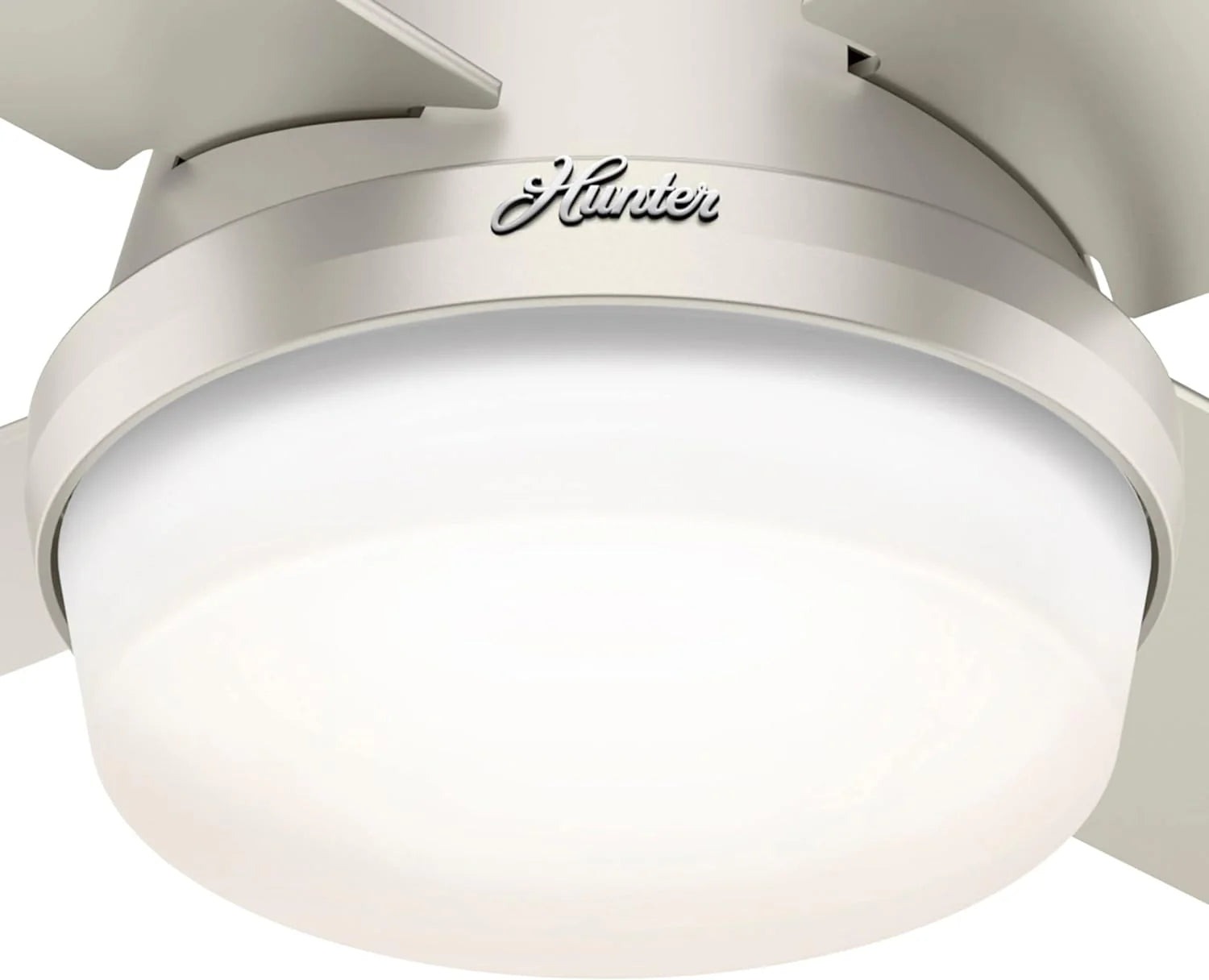 Hunter Fan Company Dempsey Low Profile Indoor / Outdoor Ceiling Fan with LED Light and Remote Control, 44", Matte Nickel