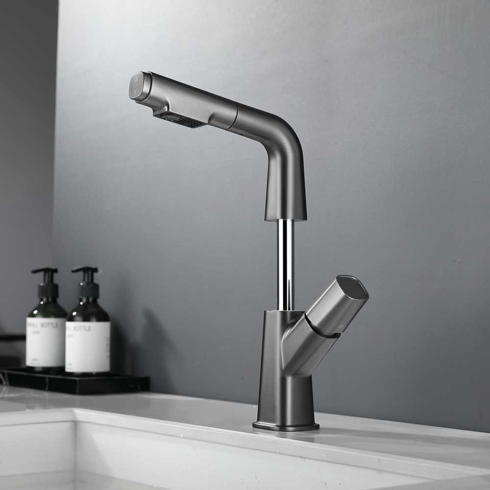 Elyseeaqua Pull-Out Lifting Basin Faucet