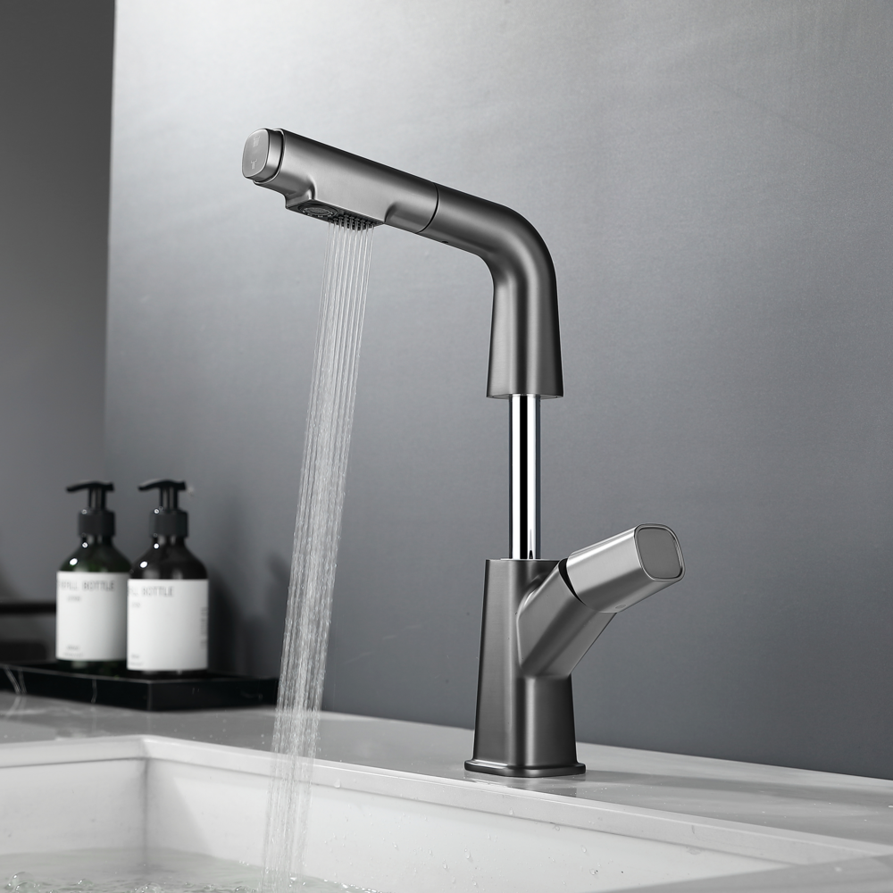 Elyseeaqua Pull-Out Lifting Basin Faucet