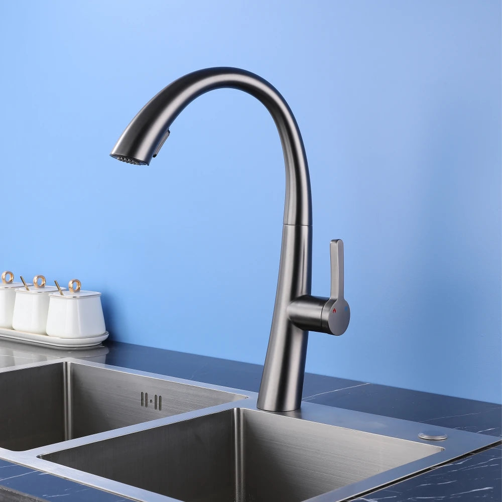 ElyseeAqua DualStream Kitchen Faucet