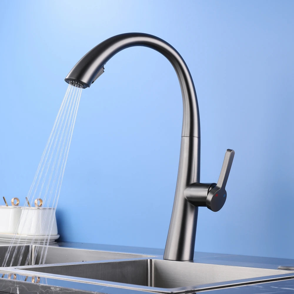 ElyseeAqua DualStream Kitchen Faucet