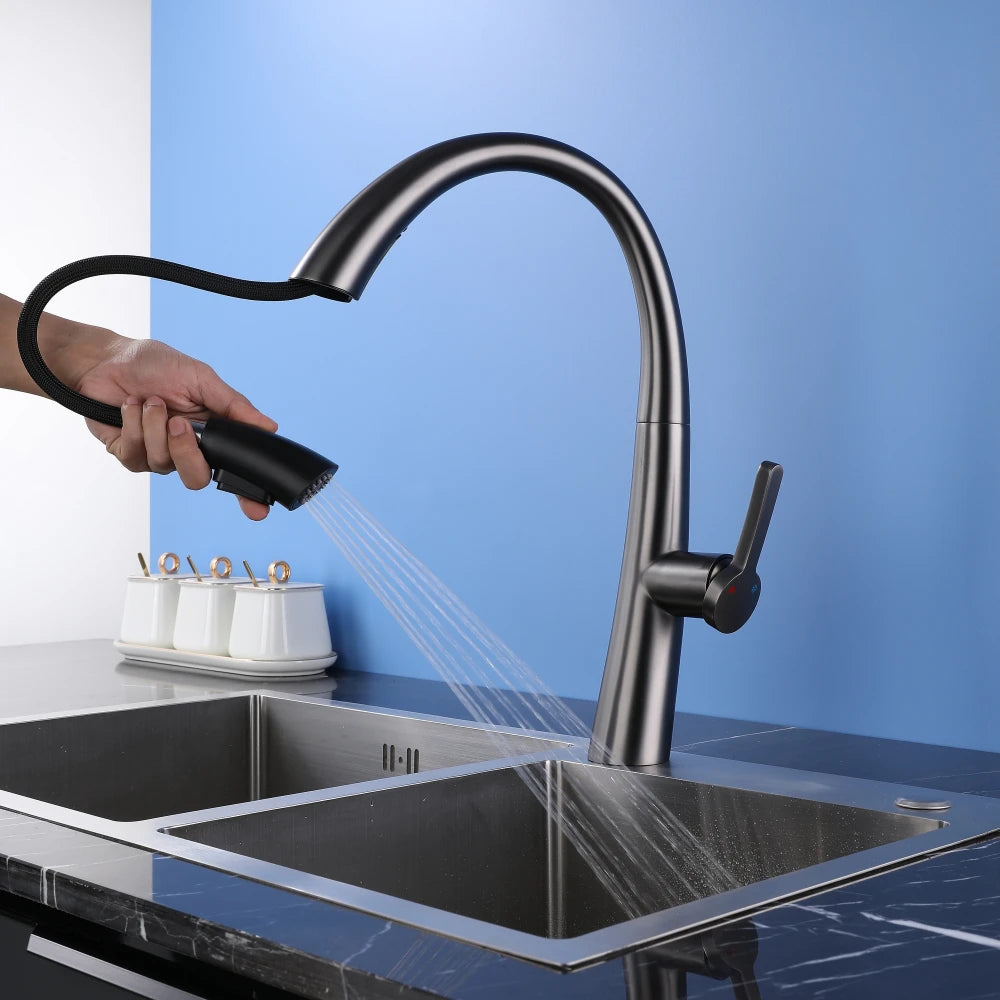 ElyseeAqua DualStream Kitchen Faucet