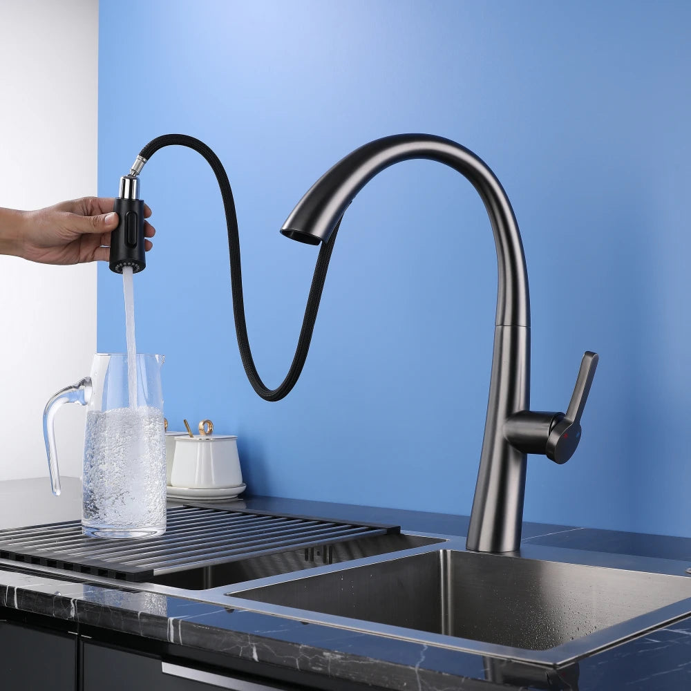 ElyseeAqua DualStream Kitchen Faucet