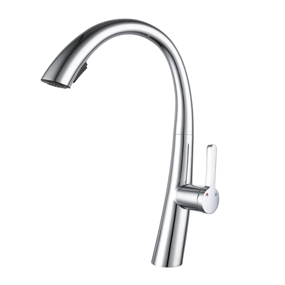 silver kitchen faucet