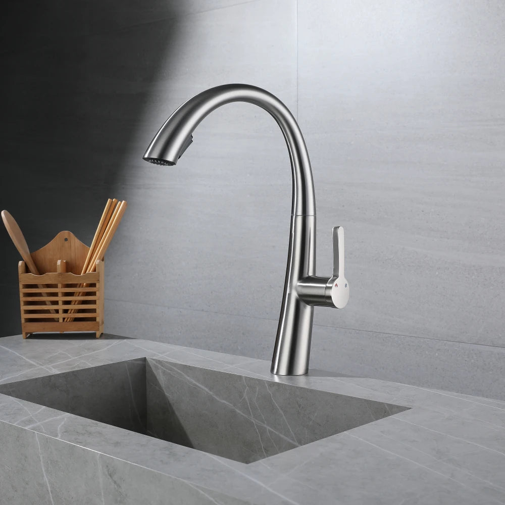 ElyseeAqua DualStream Kitchen Faucet