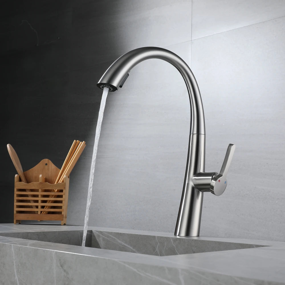 ElyseeAqua DualStream Kitchen Faucet