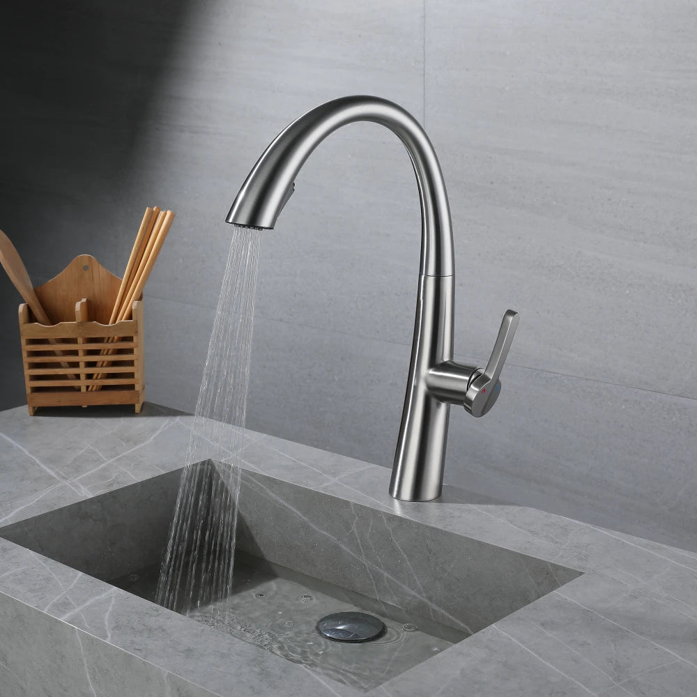 ElyseeAqua DualStream Kitchen Faucet