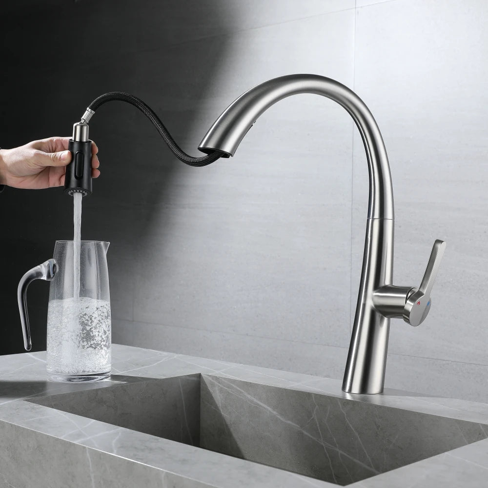 ElyseeAqua DualStream Kitchen Faucet