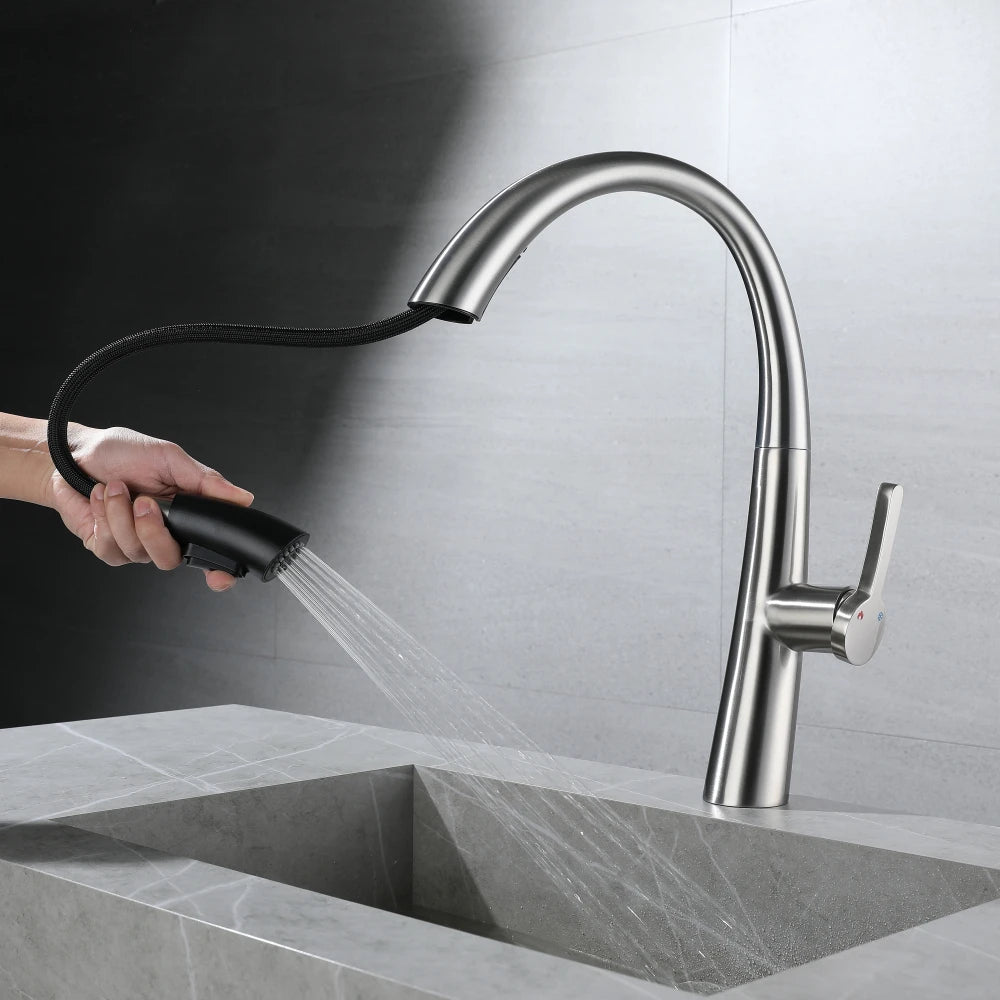 ElyseeAqua DualStream Kitchen Faucet