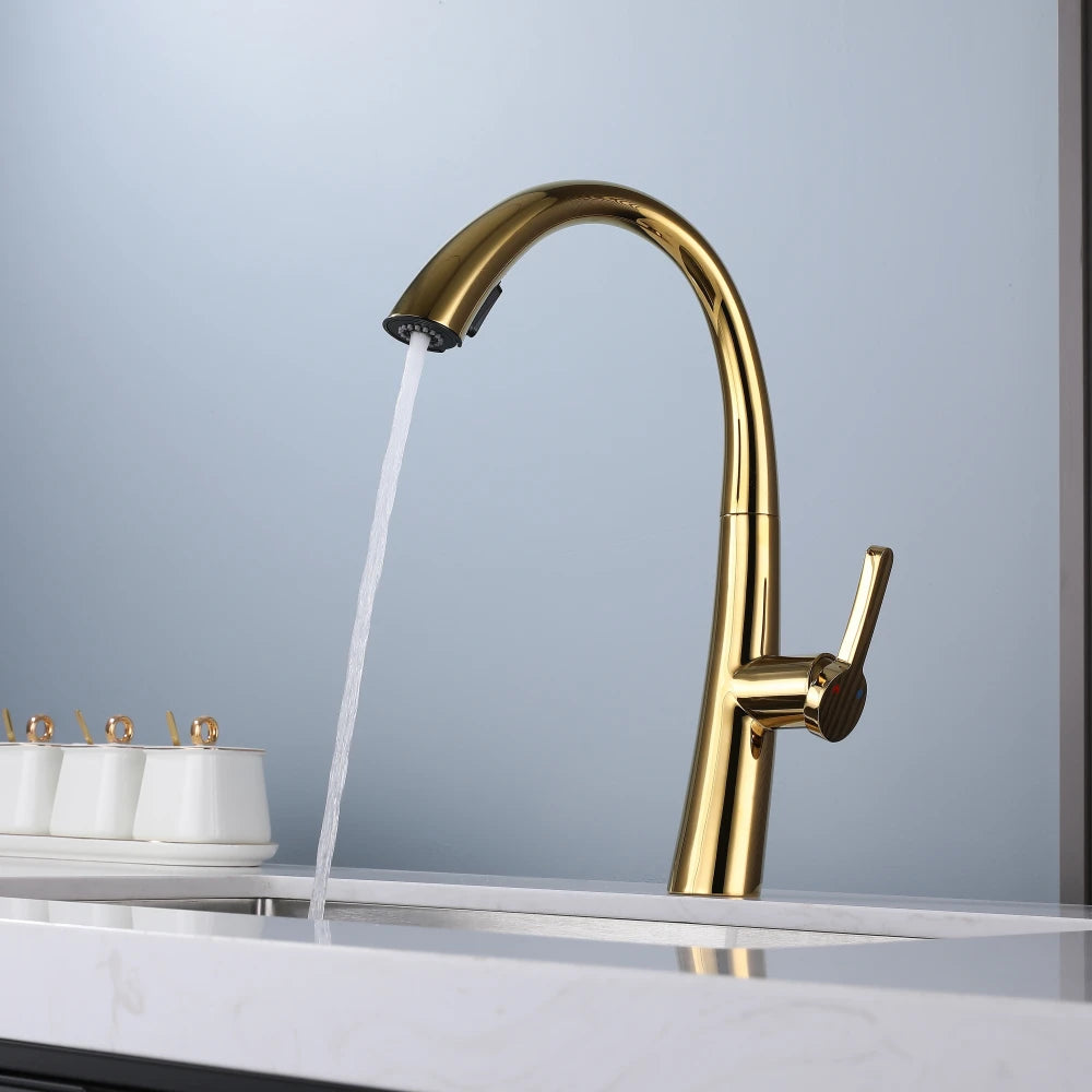 ElyseeAqua DualStream Kitchen Faucet