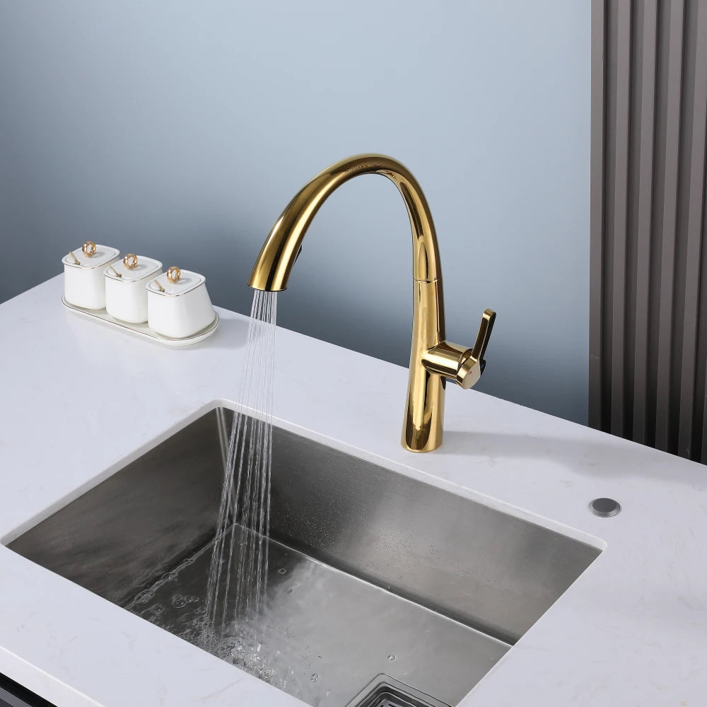 ElyseeAqua DualStream Kitchen Faucet