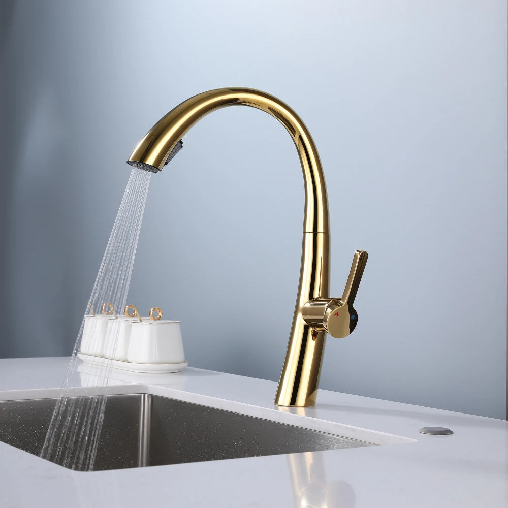 ElyseeAqua DualStream Kitchen Faucet