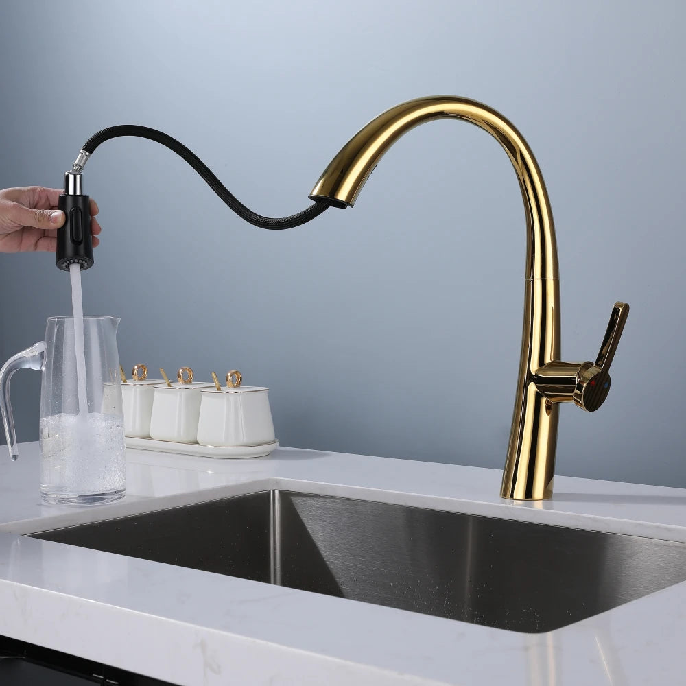 ElyseeAqua DualStream Kitchen Faucet