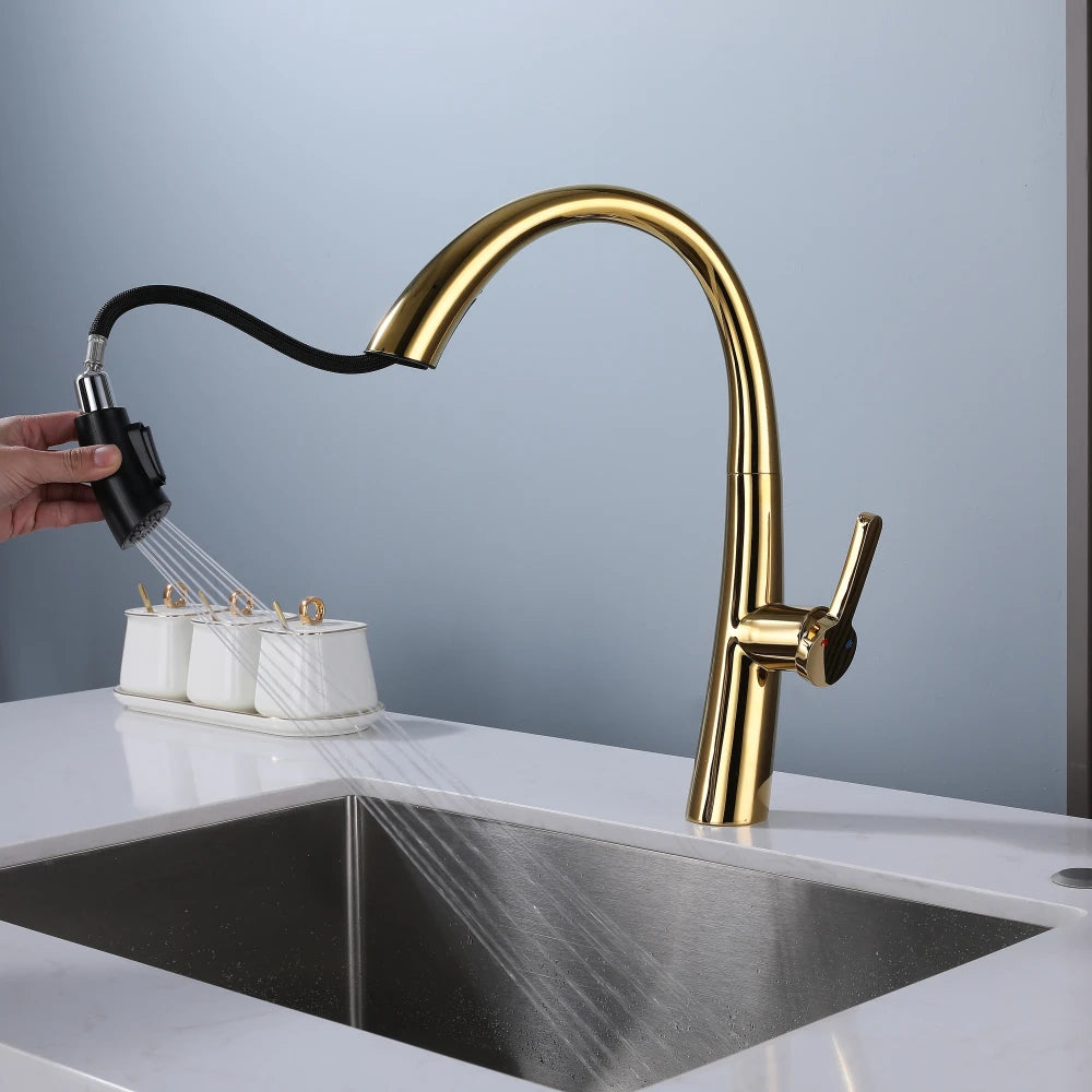 ElyseeAqua DualStream Kitchen Faucet