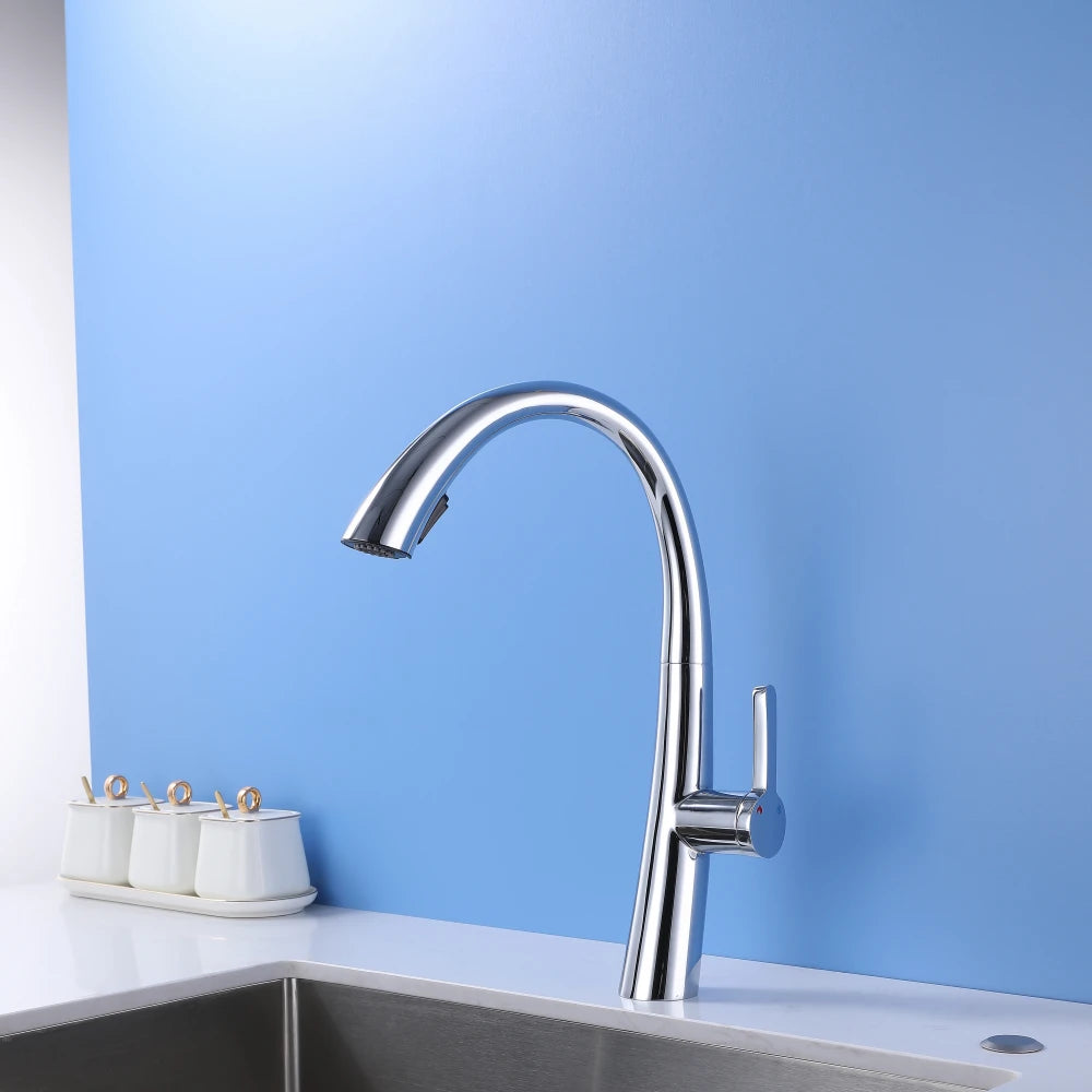 silver kitchen faucet