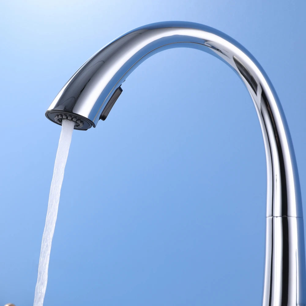 ElyseeAqua DualStream Kitchen Faucet