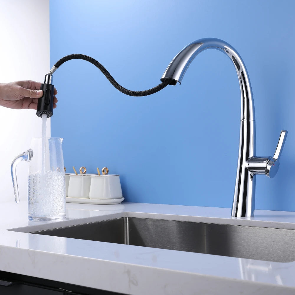 ElyseeAqua DualStream Kitchen Faucet