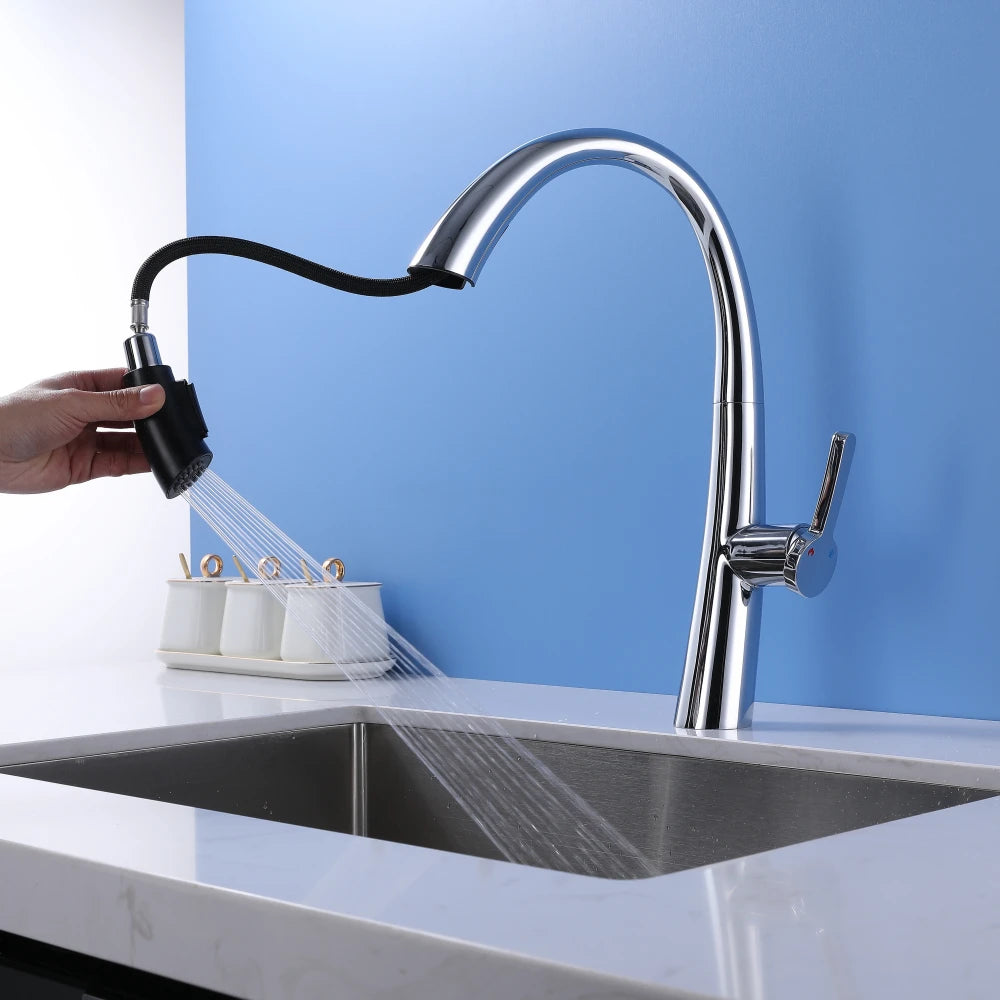 ElyseeAqua DualStream Kitchen Faucet