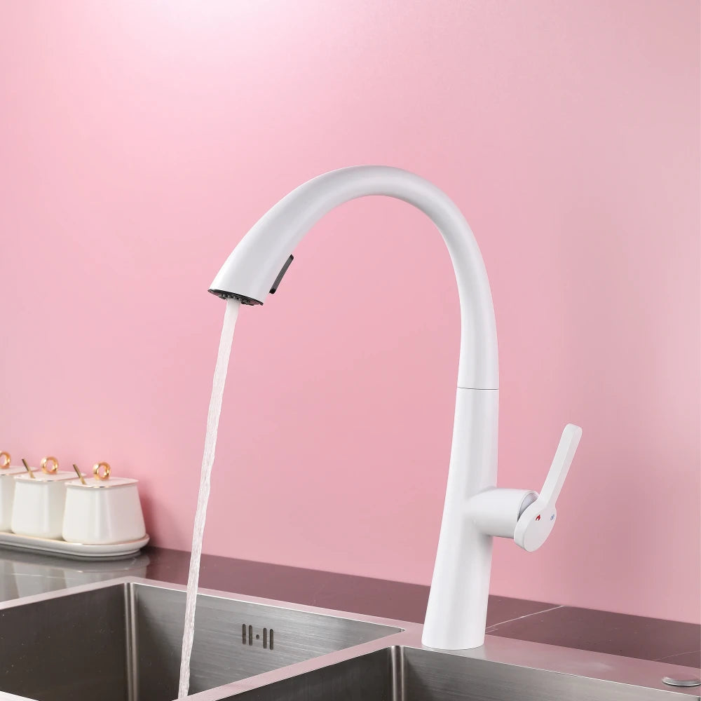 ElyseeAqua DualStream Kitchen Faucet