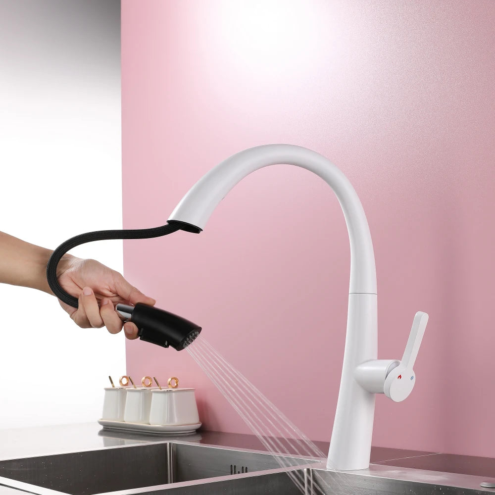 ElyseeAqua DualStream Kitchen Faucet