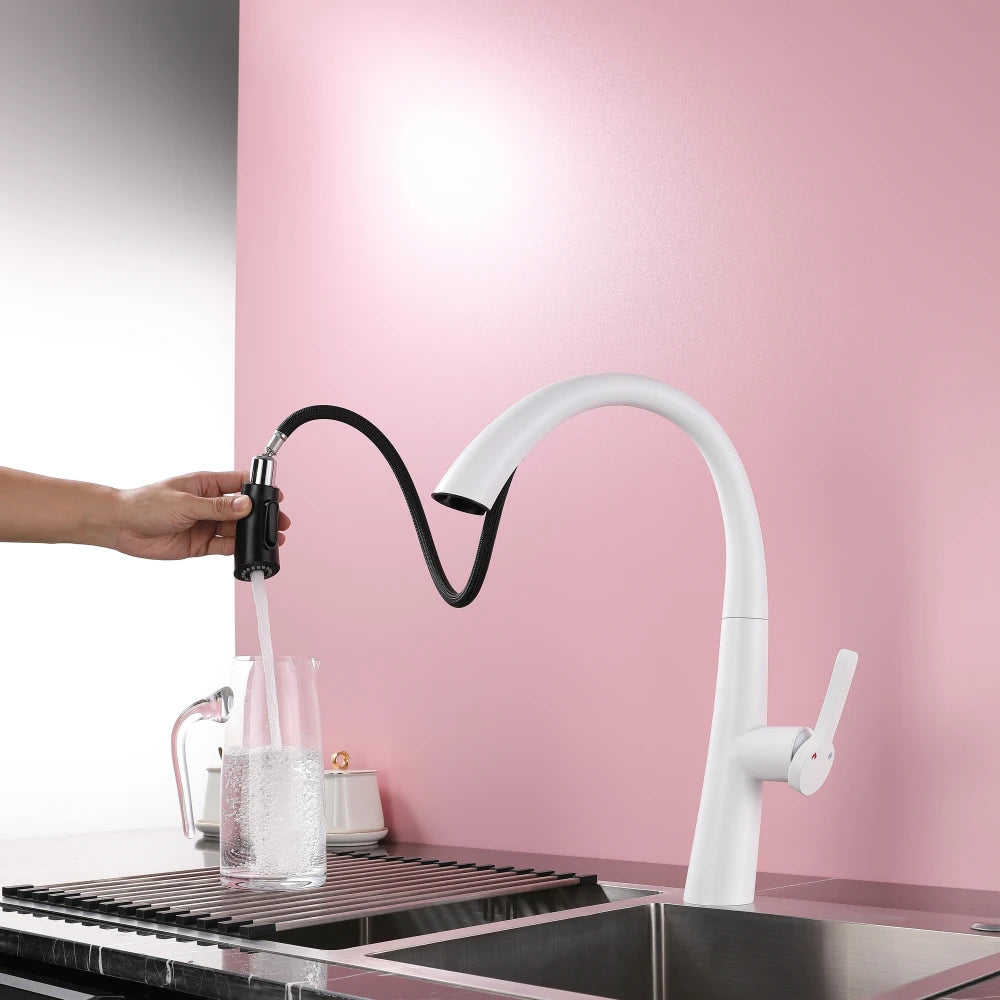 ElyseeAqua DualStream Kitchen Faucet